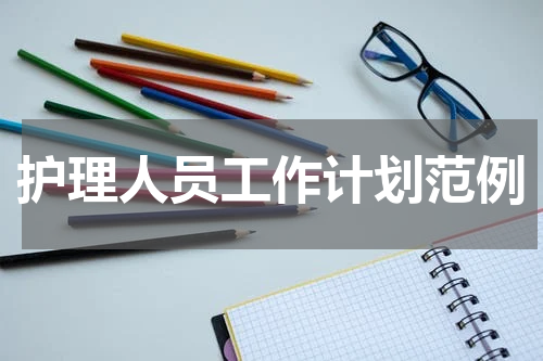 护理人员工作计划范例