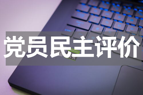 党员民主评价