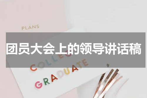团员大会上的领导讲话稿
