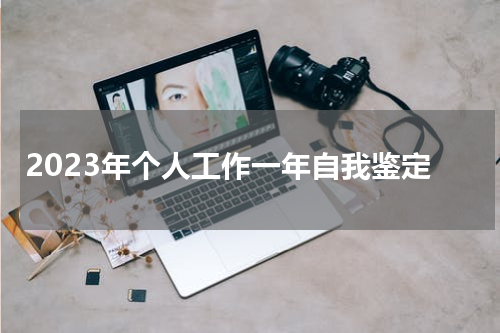 2023年个人工作一年自我鉴定
