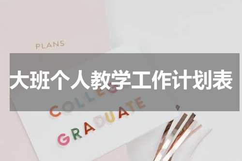 大班个人教学工作计划表
