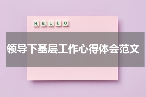 领导下基层工作心得体会范文