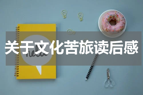关于文化苦旅读后感