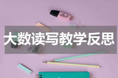 大数读写教学反思
