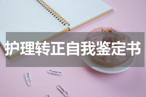 护理转正自我鉴定书