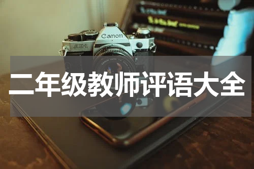 二年级教师评语大全