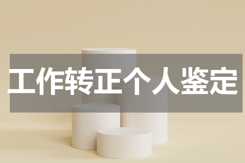 工作转正个人鉴定