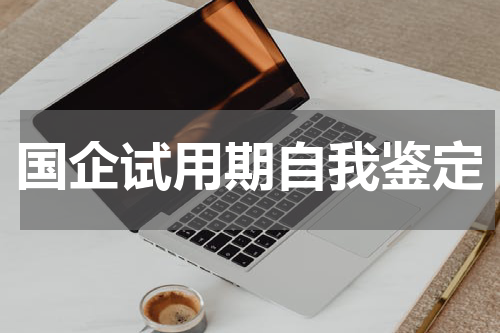 国企试用期自我鉴定