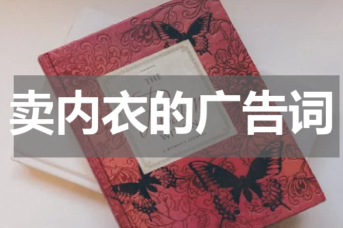 卖内衣的广告词