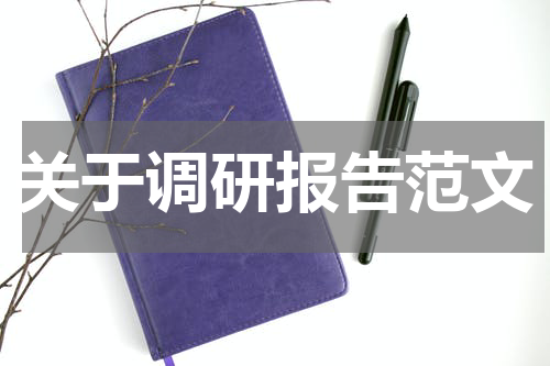 关于调研报告范文