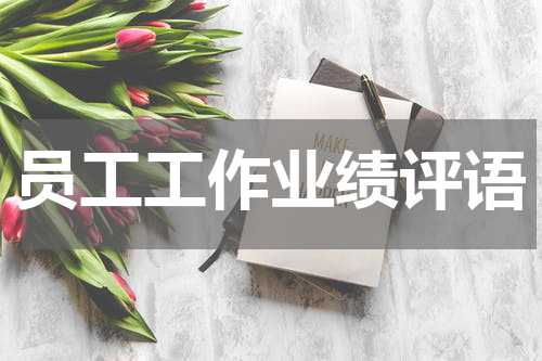 员工工作业绩评语