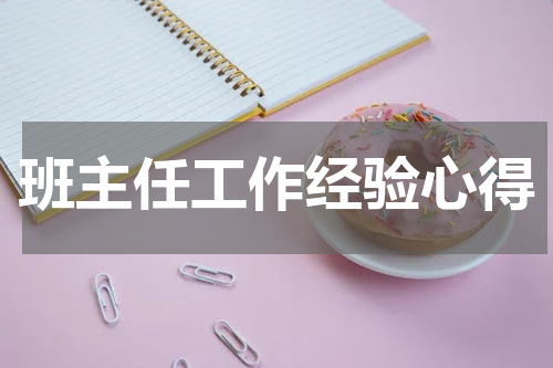 班主任工作经验心得