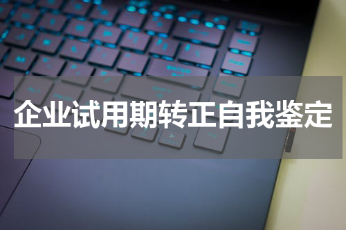 企业试用期转正自我鉴定