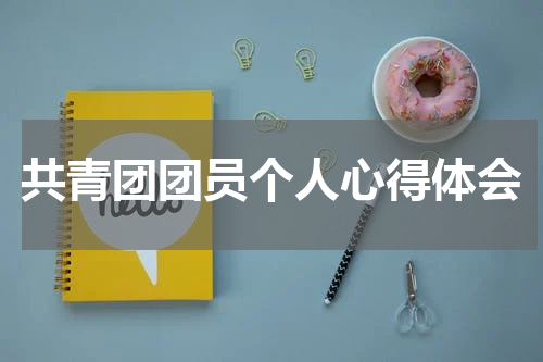 共青团团员个人心得体会