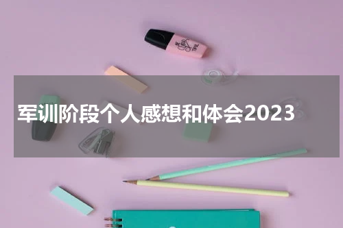 军训阶段个人感想和体会2023