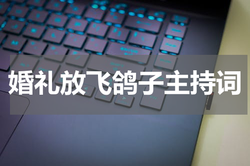 婚礼放飞鸽子主持词