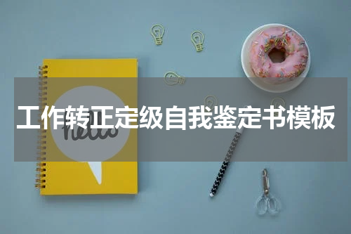 工作转正定级自我鉴定书模板