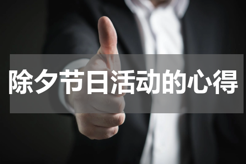 除夕节日活动的心得