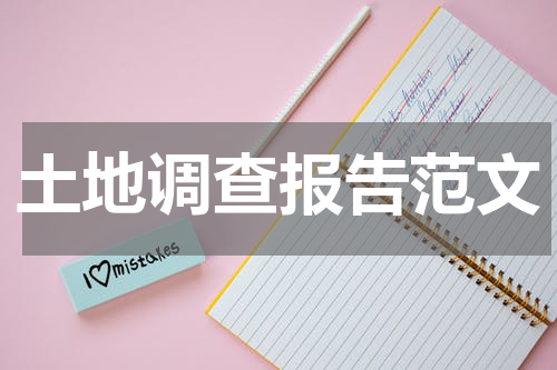 土地调查报告范文