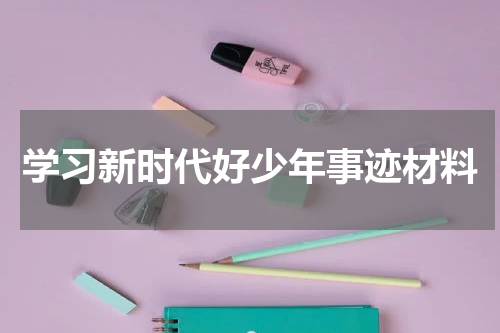学习新时代好少年事迹材料