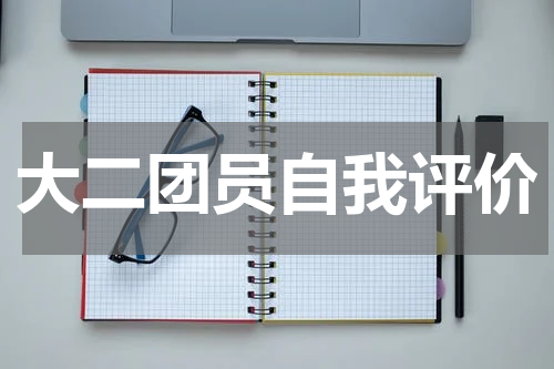 大二团员自我评价