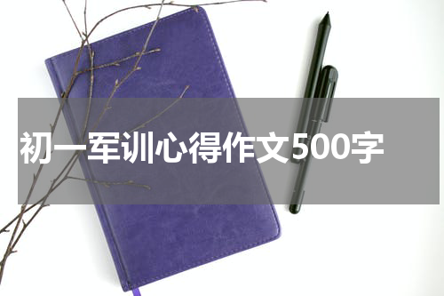 初一军训心得作文500字