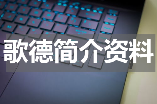 歌德简介资料