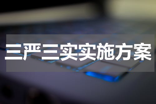 三严三实实施方案
