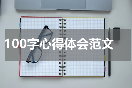 100字心得体会范文