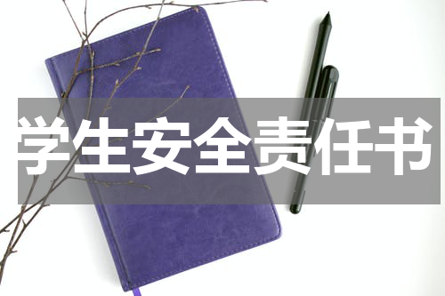 学生安全责任书