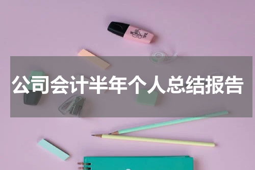 公司会计半年个人总结报告
