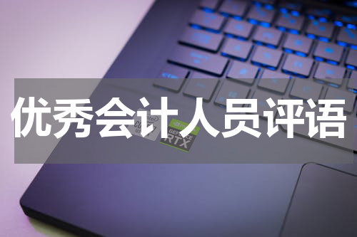 优秀会计人员评语