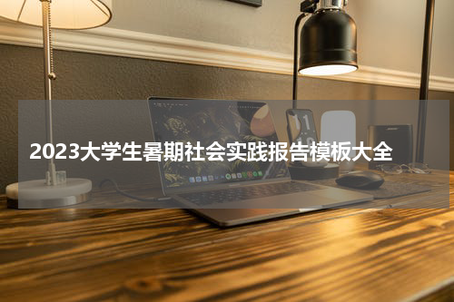 2023大学生暑期社会实践报告模板大全