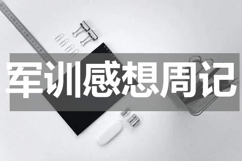 军训感想周记