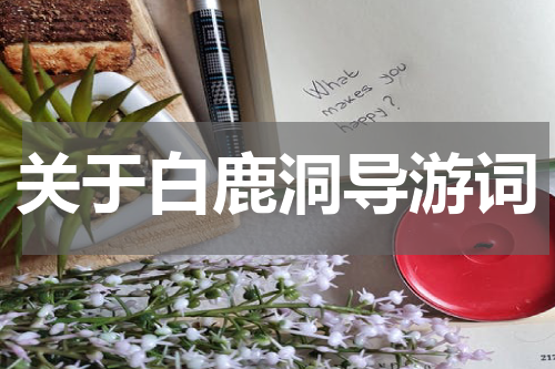 关于白鹿洞导游词