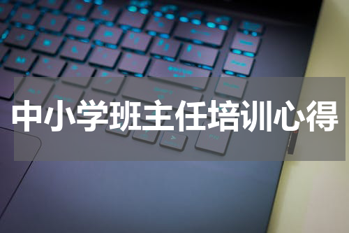 中小学班主任培训心得