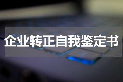 企业转正自我鉴定书