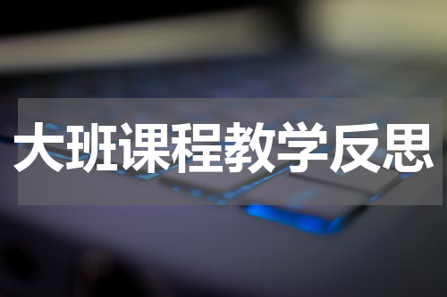 大班课程教学反思