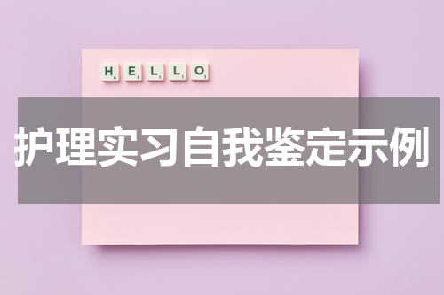 护理实习自我鉴定示例