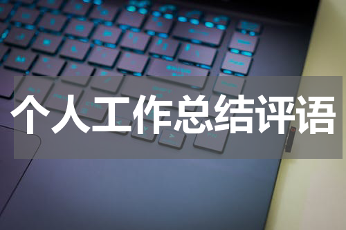 个人工作总结评语