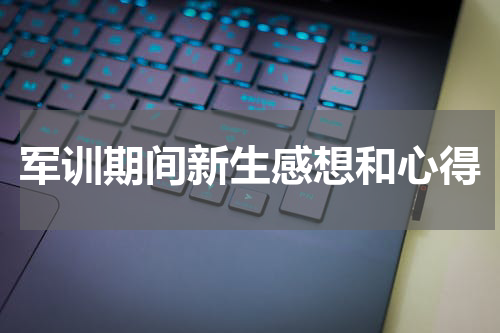 军训期间新生感想和心得