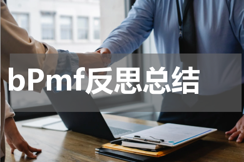 bPmf反思总结