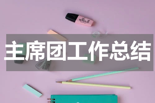 主席团工作总结