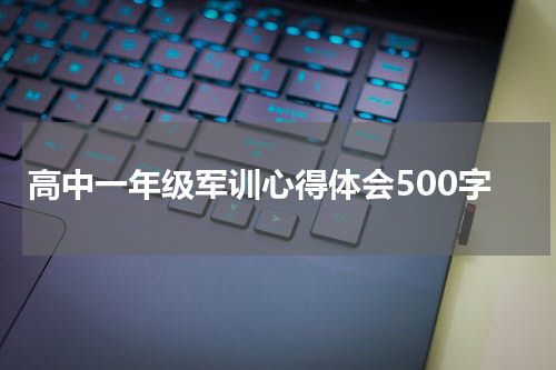 高中一年级军训心得体会500字
