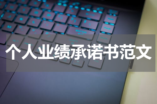 个人业绩承诺书范文