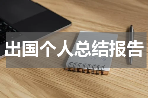 出国个人总结报告