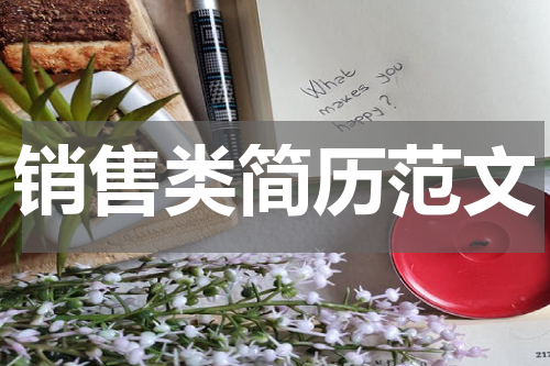 销售类简历范文