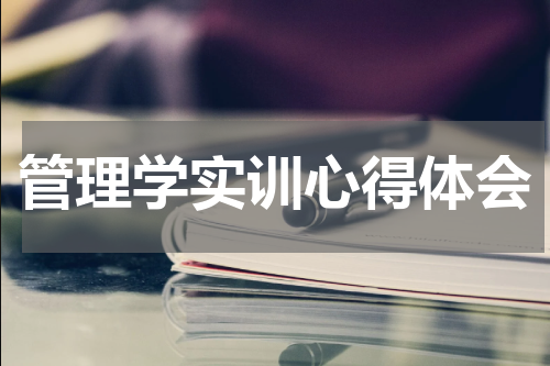 管理学实训心得体会