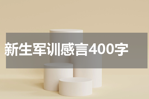 新生军训感言400字