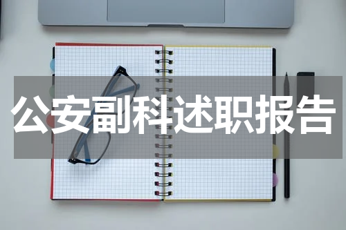 公安副科述职报告
